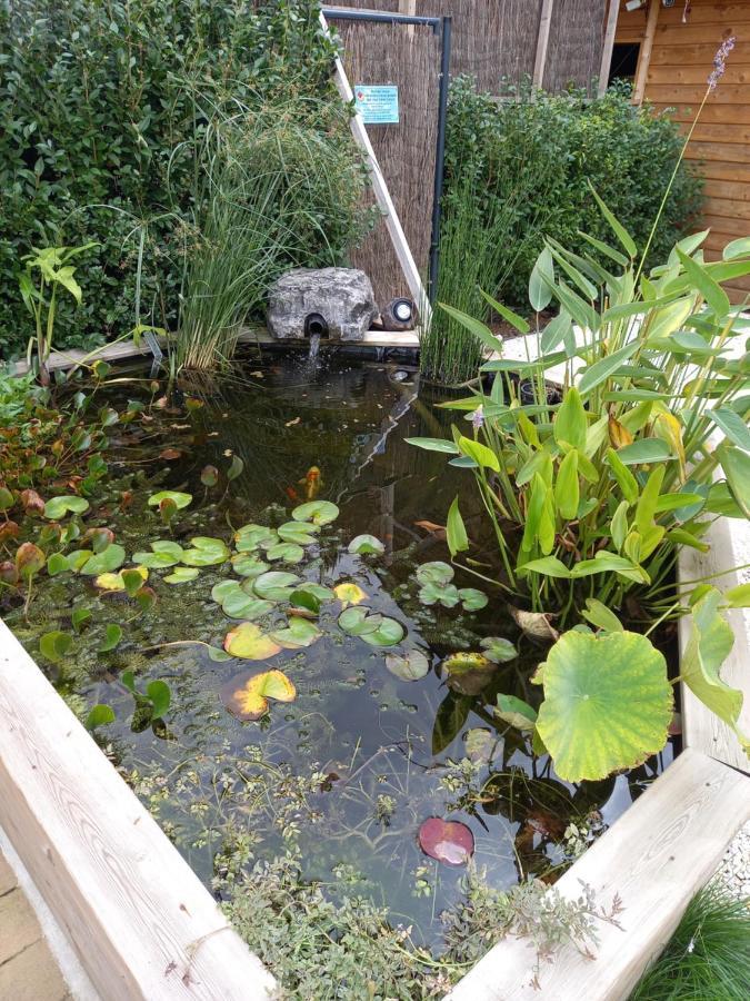 Appartement 3 Eme Etage Avec Piscine Partagee Sedan Exteriör bild